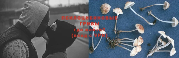 бошки Алексеевка