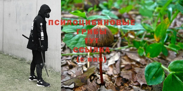 Альфа ПВП Алзамай