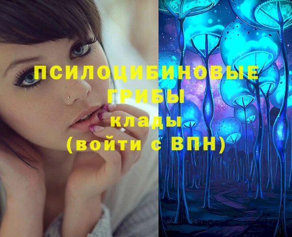 Альфа ПВП Алзамай